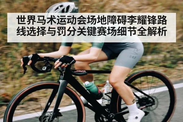世界马术运动会场地障碍李耀锋路线选择与罚分关键赛场细节全解析