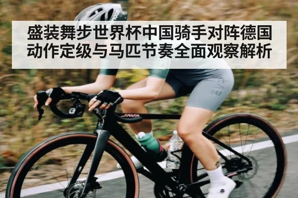 盛装舞步世界杯中国骑手对阵德国动作定级与马匹节奏全面观察解析